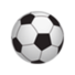 波兰女足U20logo
